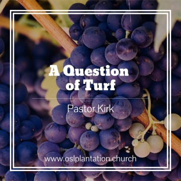 A Question of Turf